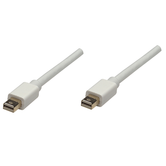 Cable DisplayPort Mini M - Mini M 1.0m Blanco