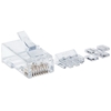 PLUG RJ45 CAT 6 UTP SOLIDO PRO 80 PZAS