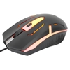 Mouse Optico Luminiscente RGB USB Negro