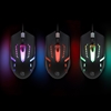 Mouse Optico Luminiscente RGB USB Negro