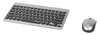 Teclado y Mouse Optico Inalambrico Negro & Plata Mini Combo