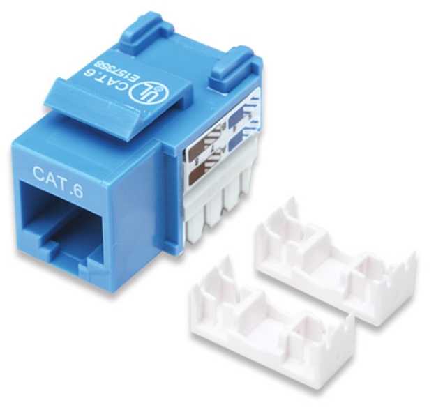 Imagen de Jack Keystone perforado Cat6, azul