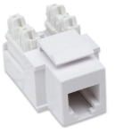 Imagen de JACK RJ11 RJ12 KEYSTONE DE IMPACTO BLANCO
