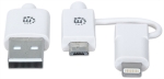 Imagen de Cable para carga/sincronización iLynk
