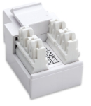 Imagen de JACK RJ11 RJ12 KEYSTONE DE IMPACTO BLANCO