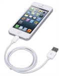 Imagen de Cable iLynk USB