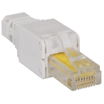 Imagen de PLUG RJ45 CAT 6 UTP SIN HERRAMIENTA 1 PZA