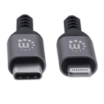 Imagen de Cable Lightning a USB-C 1.0 m, Gris